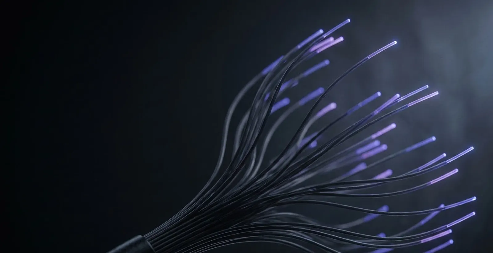 Fiber-optic strands fanning from one root into dozens of glowing branches